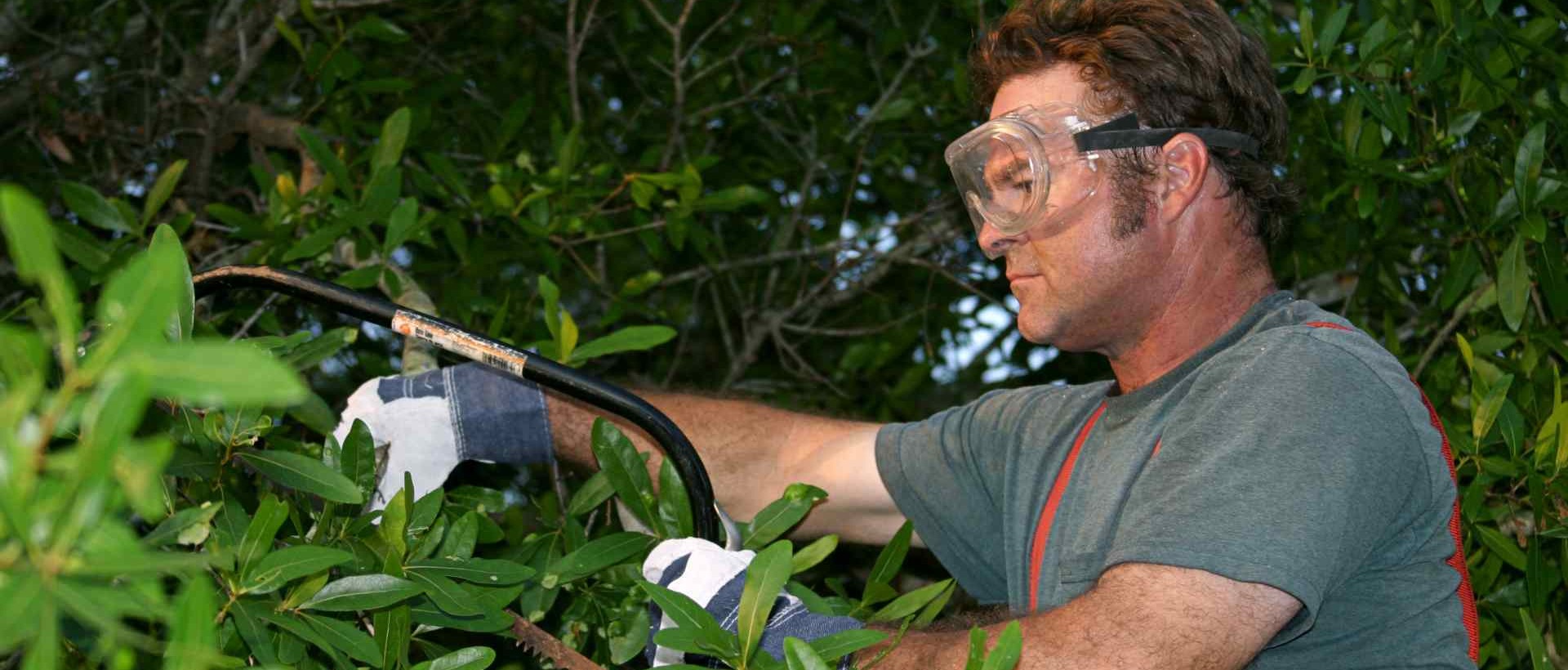 garden clearance E8